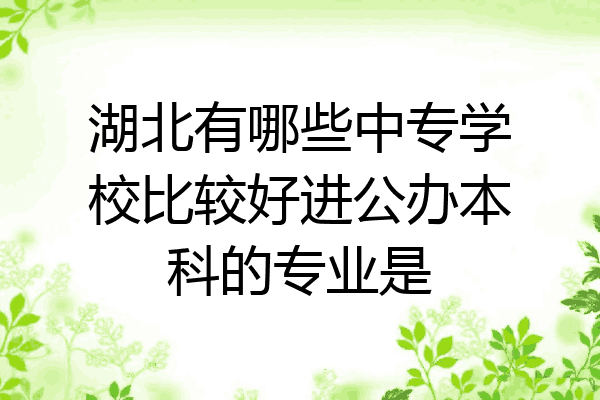湖北有哪些中专学校比较好进公办本科的专业是