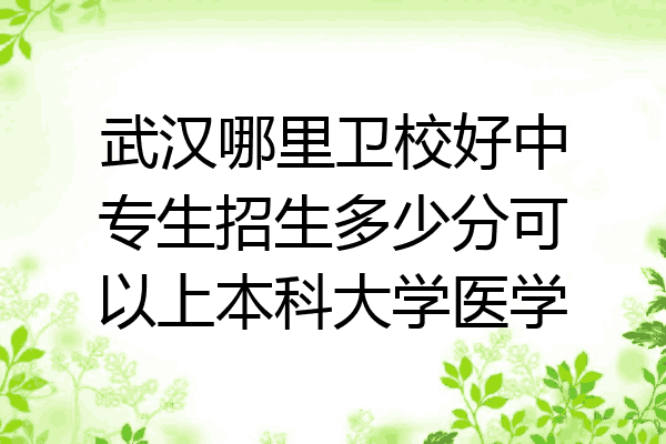 武汉哪里卫校好中专生招生多少分可以上本科大学医学