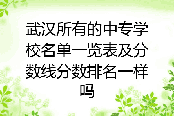 武汉所有的中专学校名单一览表及分数线分数排名一样吗