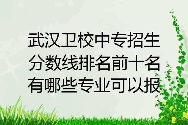 武汉卫校中专招生分数线排名前十名有哪些专业可以报