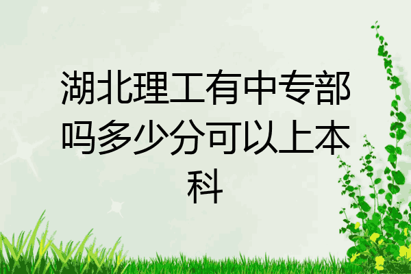 湖北理工有中专部吗多少分可以上本科