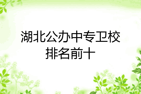 湖北公办中专卫校排名前十