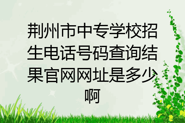 荆州市中专学校招生电话号码查询结果官网网址是多少啊