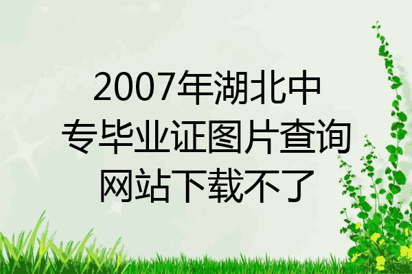 2007年湖北中专毕业证图片查询网站下载不了