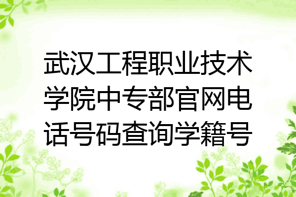 武汉工程职业技术学院中专部官网电话号码查询学籍号
