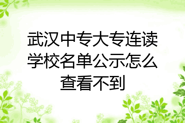 武汉中专大专连读学校名单公示怎么查看不到