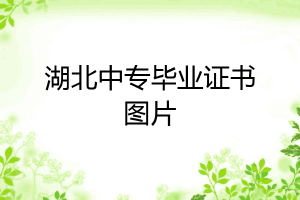 湖北中专毕业证书图片