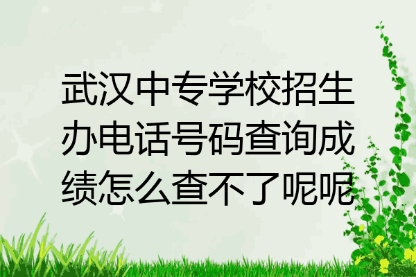 武汉中专学校招生办电话号码查询成绩怎么查不了呢呢