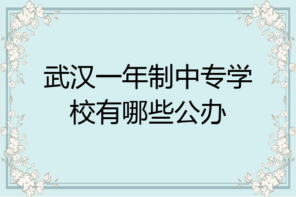 武汉一年制中专学校有哪些公办