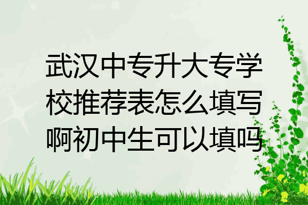 武汉中专升大专学校推荐表怎么填写啊初中生可以填吗