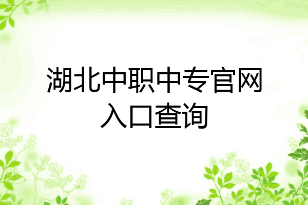 湖北中职中专官网入口查询
