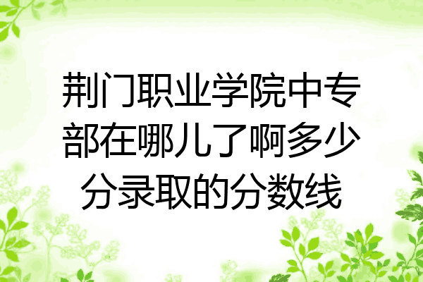 荆门职业学院中专部在哪儿了啊多少分录取的分数线