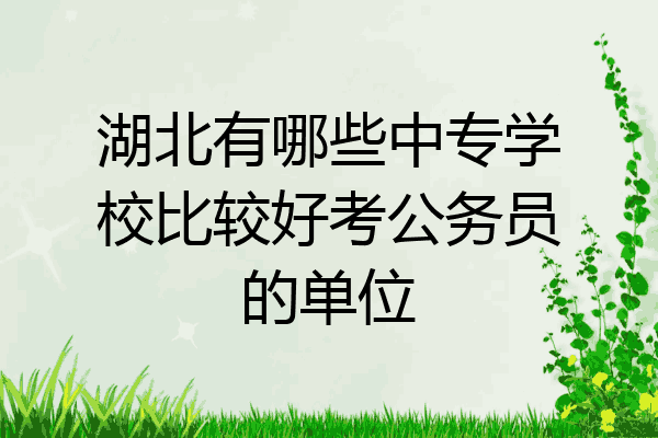 湖北有哪些中专学校比较好考公务员的单位