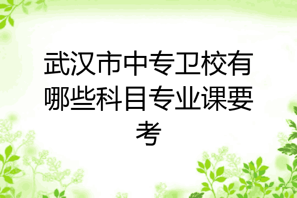 武汉市中专卫校有哪些科目专业课要考