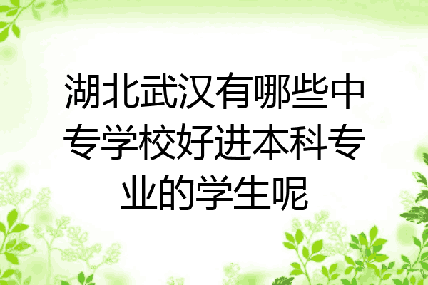 湖北武汉有哪些中专学校好进本科专业的学生呢