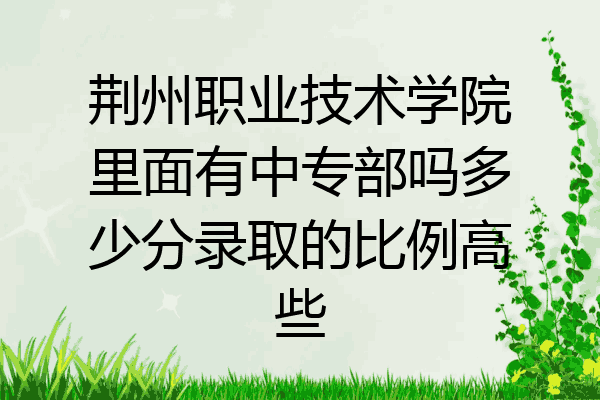 荆州职业技术学院里面有中专部吗多少分录取的比例高些