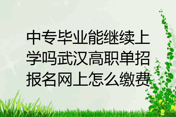 中专毕业能继续上学吗武汉高职单招报名网上怎么缴费