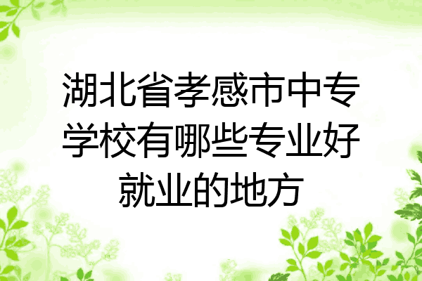 湖北省孝感市中专学校有哪些专业好就业的地方