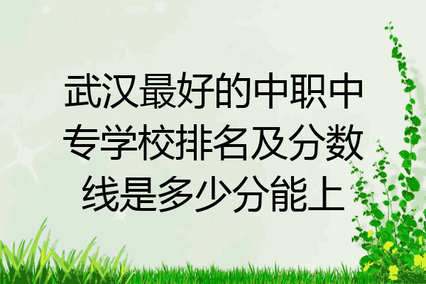 武汉最好的中职中专学校排名及分数线是多少分能上