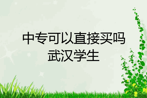 中专可以直接买吗武汉学生