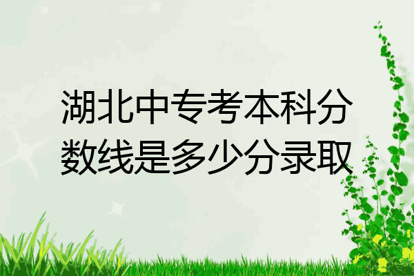 湖北中专考本科分数线是多少分录取