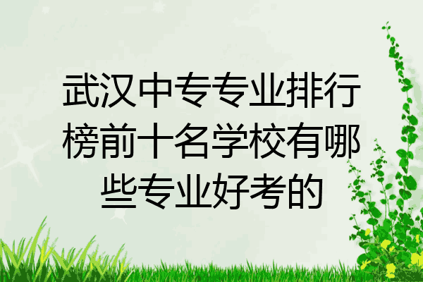 武汉中专专业排行榜前十名学校有哪些专业好考的