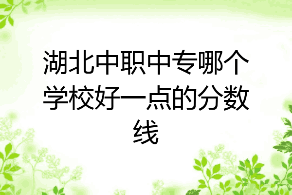 湖北中职中专哪个学校好一点的分数线
