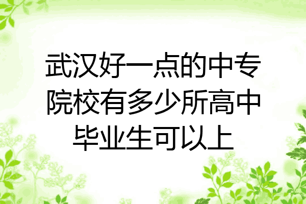 武汉好一点的中专院校有多少所高中毕业生可以上
