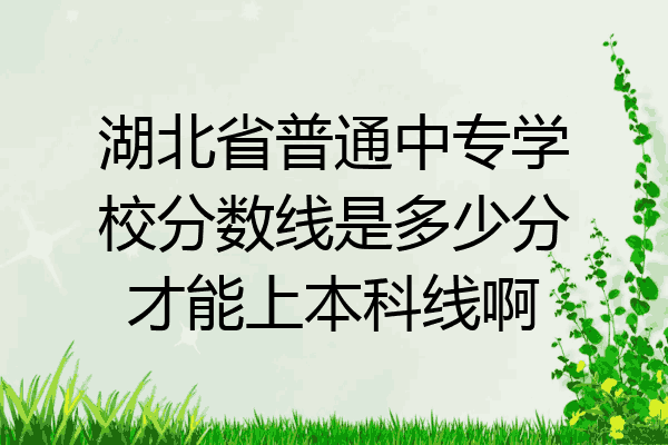湖北省普通中专学校分数线是多少分才能上本科线啊