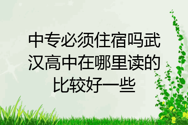 中专必须住宿吗武汉高中在哪里读的比较好一些