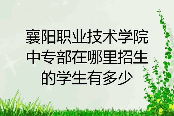 襄阳职业技术学院中专部在哪里招生的学生有多少