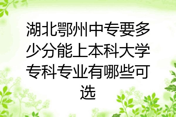 湖北鄂州中专要多少分能上本科大学专科专业有哪些可选