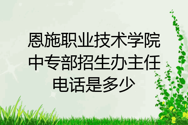 恩施职业技术学院中专部招生办主任电话是多少
