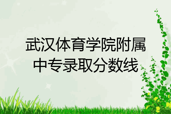武汉体育学院附属中专录取分数线