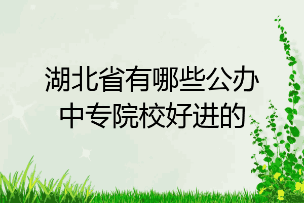 湖北省有哪些公办中专院校好进的