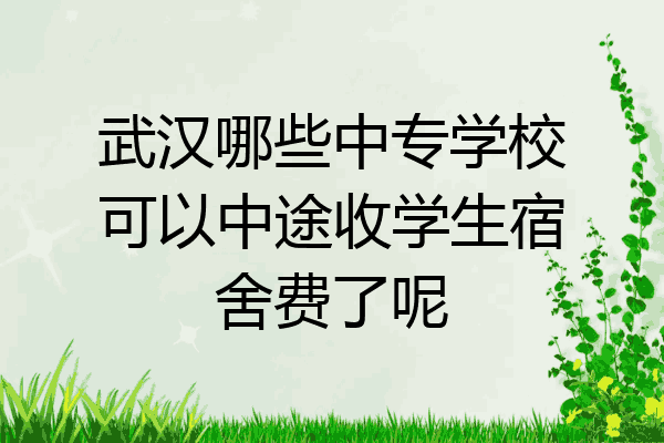 武汉哪些中专学校可以中途收学生宿舍费了呢