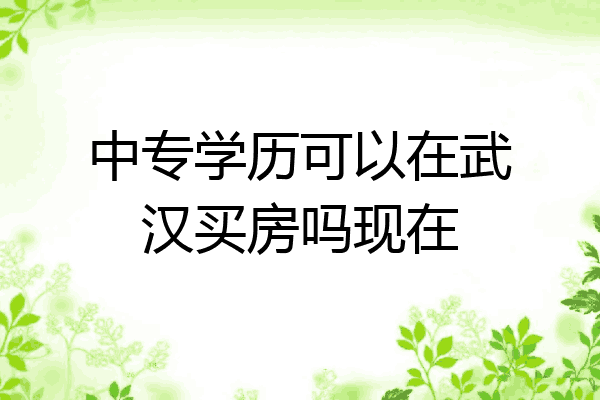 中专学历可以在武汉买房吗现在