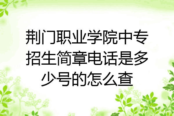荆门职业学院中专招生简章电话是多少号的怎么查