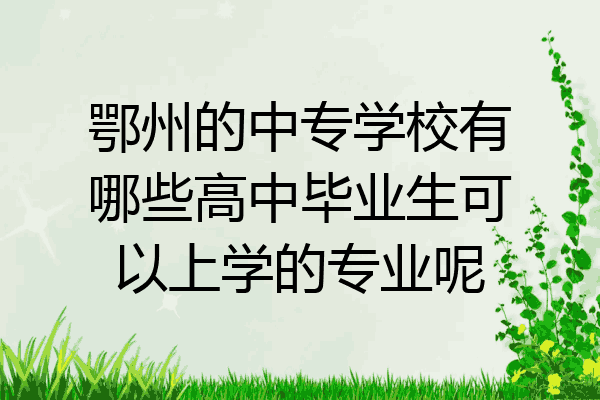 鄂州的中专学校有哪些高中毕业生可以上学的专业呢