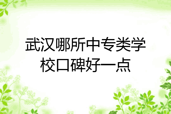 武汉哪所中专类学校口碑好一点