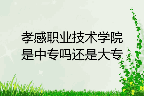 孝感职业技术学院是中专吗还是大专