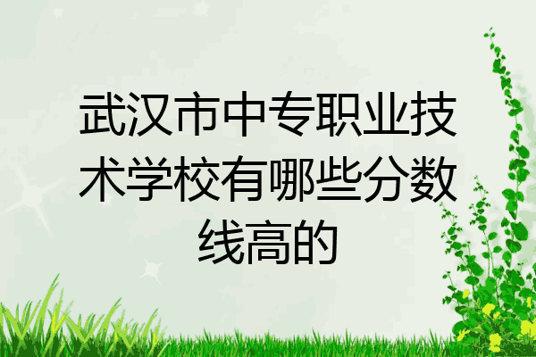武汉市中专职业技术学校有哪些分数线高的