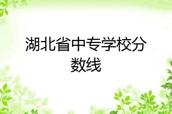 湖北省中专学校分数线