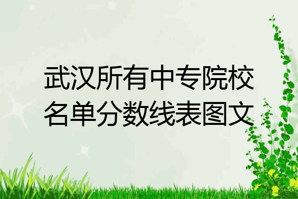 武汉所有中专院校名单分数线表图文