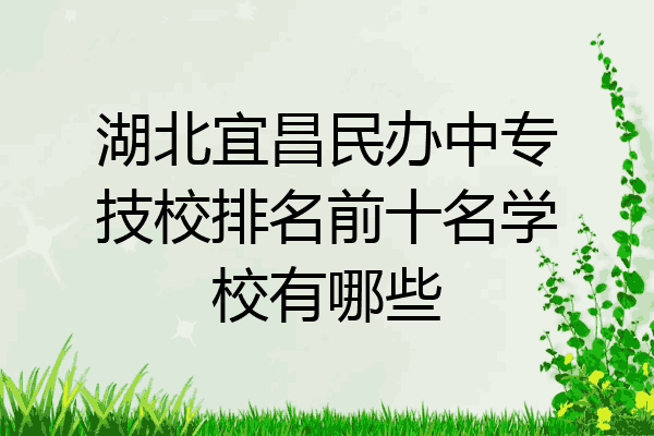 湖北宜昌民办中专技校排名前十名学校有哪些