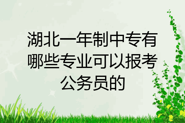 湖北一年制中专有哪些专业可以报考公务员的