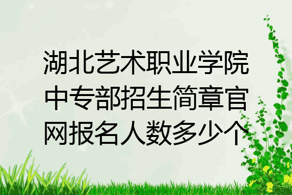 湖北艺术职业学院中专部招生简章官网报名人数多少个