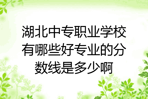 湖北中专职业学校有哪些好专业的分数线是多少啊