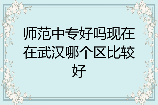 师范中专好吗现在在武汉哪个区比较好