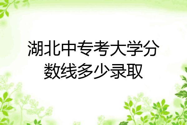 湖北中专考大学分数线多少录取